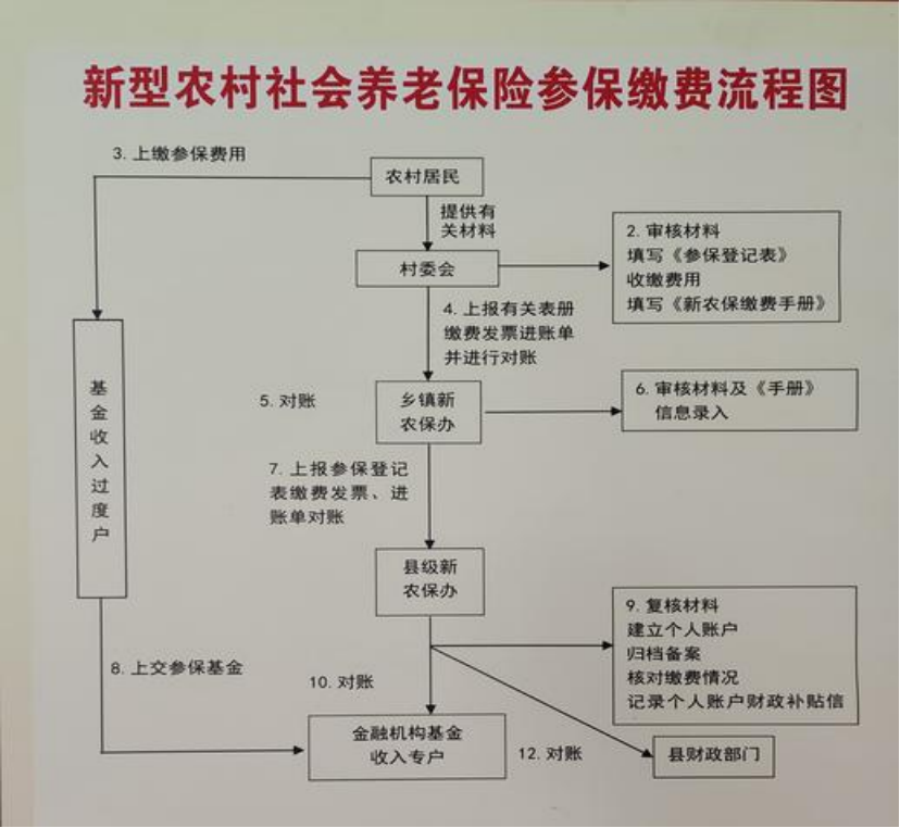 泉州农村医保和社保有什么区别(农村医保跟社保的区别)
